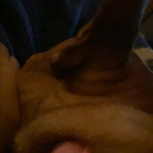 Meet your Posher, Dominique